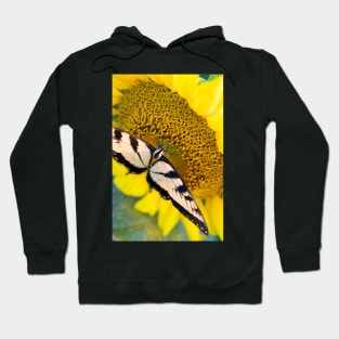 Butterfly on a sunflower Hoodie